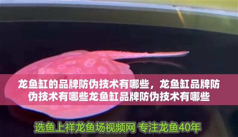 龍魚缸的品牌防偽技術有哪些，龍魚缸品牌防偽技術有哪些龍魚缸品牌防偽技術有哪些