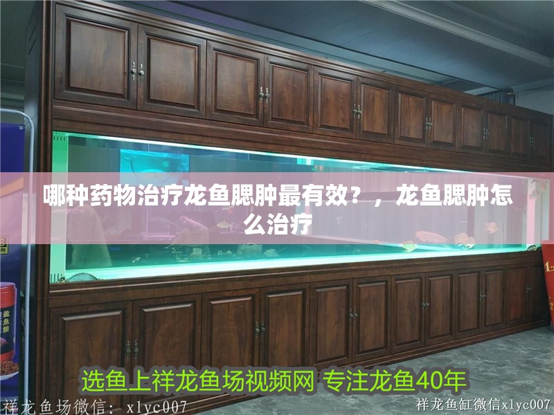 哪種藥物治療龍魚腮腫最有效？，龍魚腮腫怎么治療