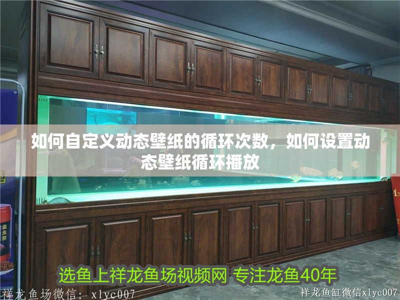 如何自定義動(dòng)態(tài)壁紙的循環(huán)次數(shù)，如何設(shè)置動(dòng)態(tài)壁紙循環(huán)播放