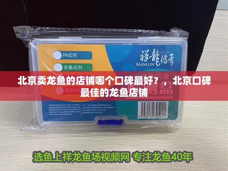 北京賣龍魚的店鋪哪個口碑最好？，北京口碑最佳的龍魚店鋪