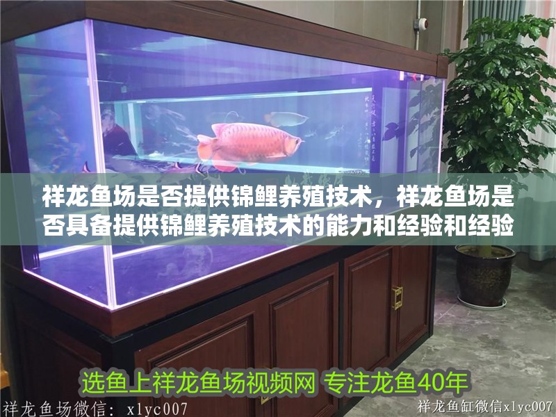 祥龍魚場是否提供錦鯉養(yǎng)殖技術(shù)，祥龍魚場是否具備提供錦鯉養(yǎng)殖技術(shù)的能力和經(jīng)驗和經(jīng)驗