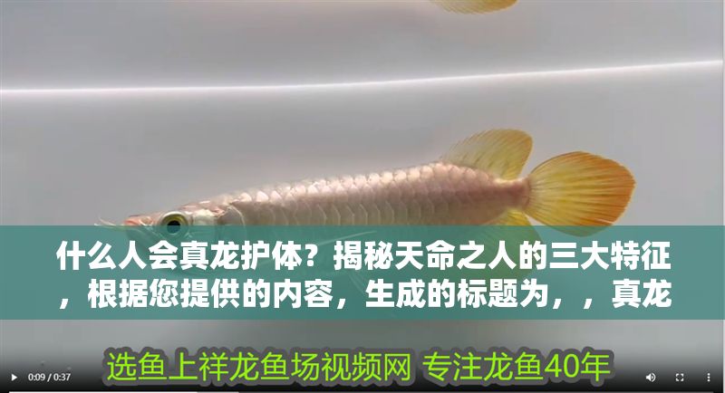 什么人會(huì)真龍護(hù)體？揭秘天命之人的三大特征，根據(jù)您提供的內(nèi)容，生成的標(biāo)題為，，真龍護(hù)體之人有何特征？三大天命標(biāo)志揭示非凡命格