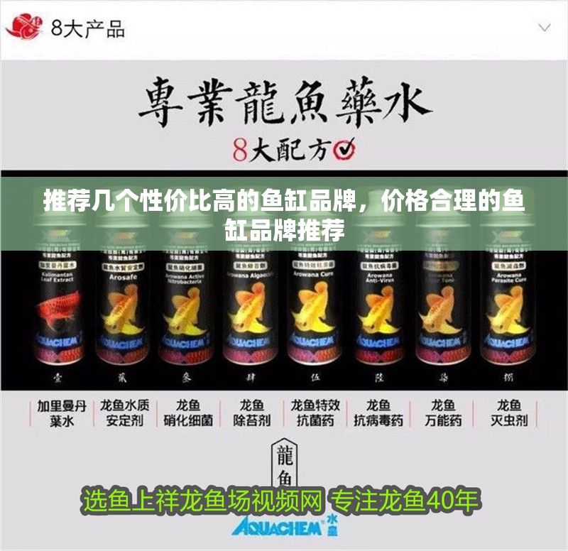 推薦幾個(gè)性價(jià)比高的魚(yú)缸品牌，價(jià)格合理的魚(yú)缸品牌推薦