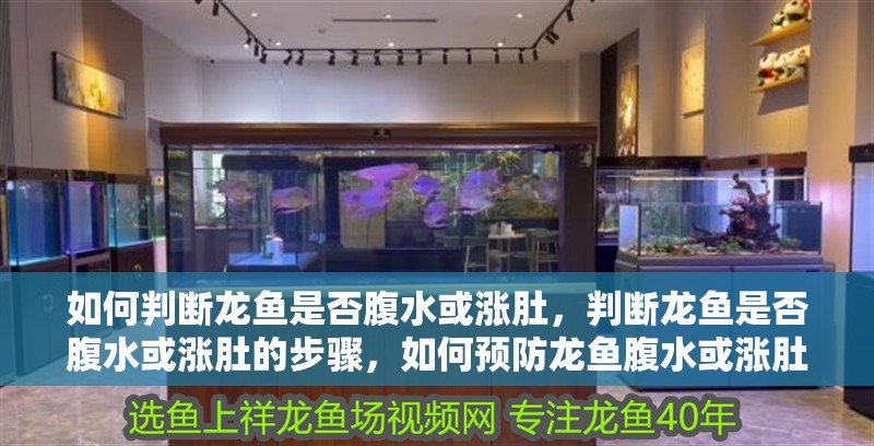 如何判斷龍魚是否腹水或漲肚，判斷龍魚是否腹水或漲肚的步驟，如何預防龍魚腹水或漲肚