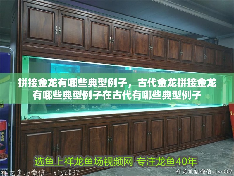 拼接金龍有哪些典型例子，古代金龍拼接金龍有哪些典型例子在古代有哪些典型例子