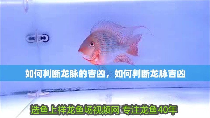 如何判斷龍脈的吉兇，如何判斷龍脈吉兇
