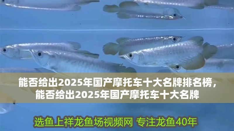 能否給出2025年國產摩托車十大名牌排名榜，能否給出2025年國產摩托車十大名牌
