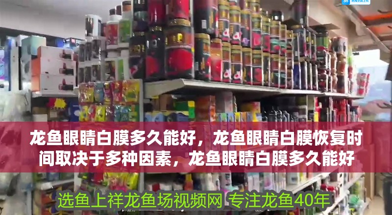 龍魚眼睛白膜多久能好，龍魚眼睛白膜恢復時間取決于多種因素，龍魚眼睛白膜多久能好