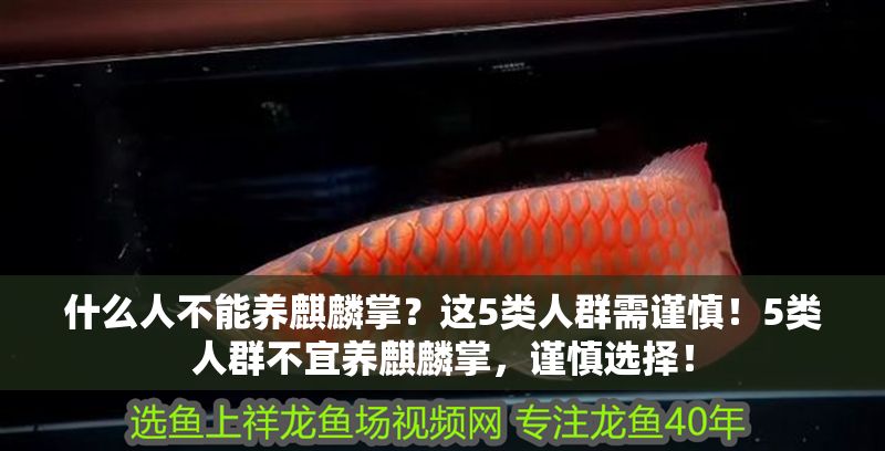 什么人不能養麒麟掌？這5類人群需謹慎！5類人群不宜養麒麟掌，謹慎選擇！