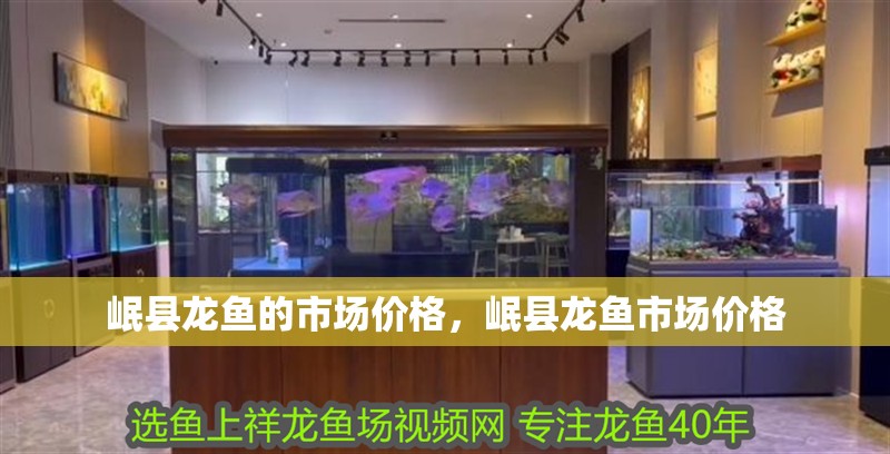 岷縣龍魚的市場價格，岷縣龍魚市場價格