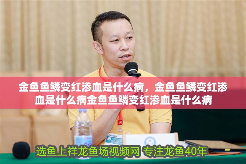 金魚魚鱗變紅滲血是什么病，金魚魚鱗變紅滲血是什么病金魚魚鱗變紅滲血是什么病
