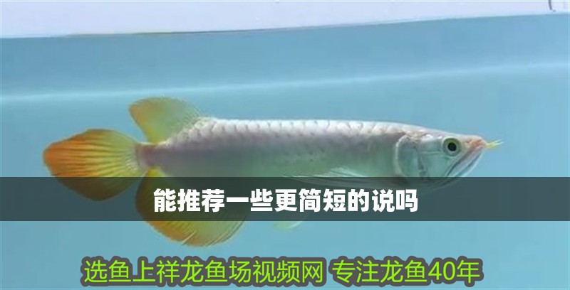 能推薦一些更簡短的說嗎
