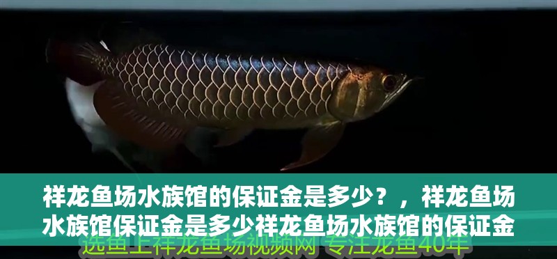 祥龍魚場水族館的保證金是多少？，祥龍魚場水族館保證金是多少祥龍魚場水族館的保證金是多少