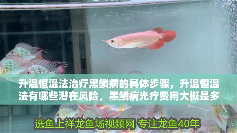 升溫恒溫法治療黑鱗病的具體步驟，升溫恒溫法有哪些潛在風(fēng)險，黑鱗病光療費用大概是多少