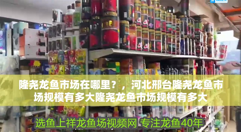 隆堯龍魚市場在哪里？，河北邢臺(tái)隆堯龍魚市場規(guī)模有多大隆堯龍魚市場規(guī)模有多大
