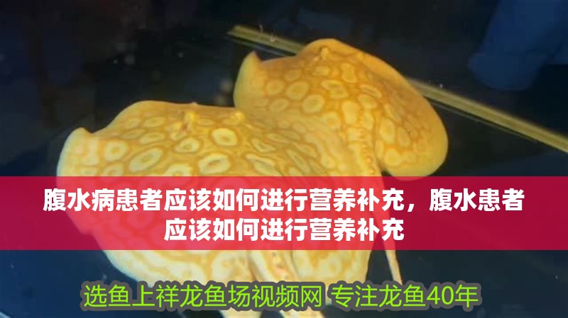 腹水病患者應該如何進行營養補充，腹水患者應該如何進行營養補充
