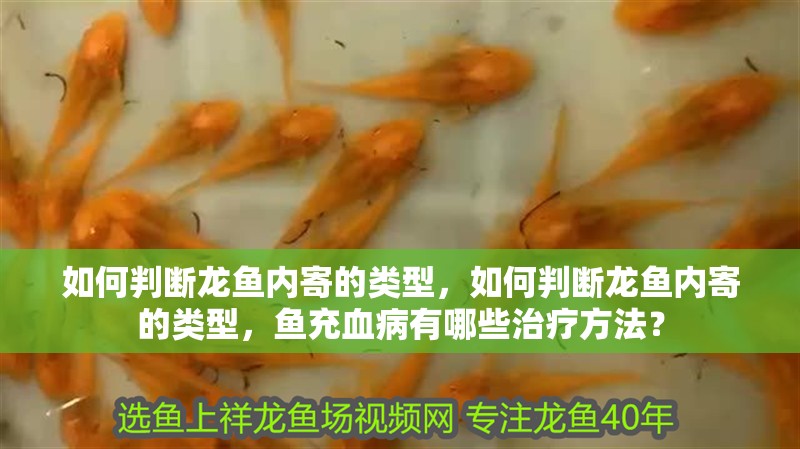 如何判斷龍魚內(nèi)寄的類型，如何判斷龍魚內(nèi)寄的類型，魚充血病有哪些治療方法？