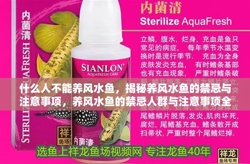 什么人不能養風水魚，揭秘養風水魚的禁忌與注意事項，養風水魚的禁忌人群與注意事項全解析