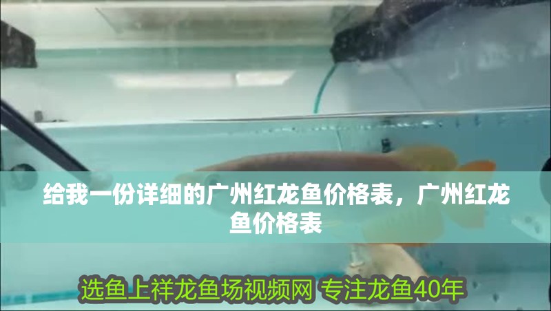 給我一份詳細(xì)的廣州紅龍魚(yú)價(jià)格表，廣州紅龍魚(yú)價(jià)格表