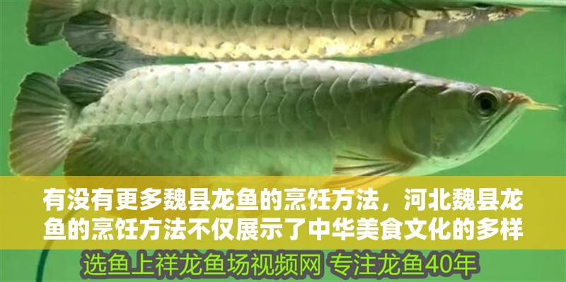 有沒有更多魏縣龍魚的烹飪方法，河北魏縣龍魚的烹飪方法不僅展示了中華美食文化的多樣性和豐富性