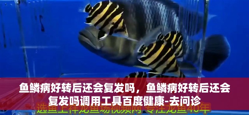 魚鱗病好轉后還會復發嗎，魚鱗病好轉后還會復發嗎調用工具百度健康-去問診
