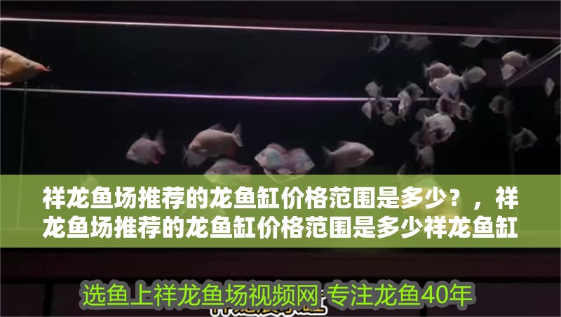 祥龍魚場推薦的龍魚缸價格范圍是多少？，祥龍魚場推薦的龍魚缸價格范圍是多少祥龍魚缸價格范圍是多少