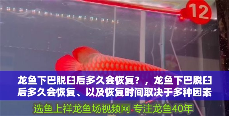 龍魚下巴脫臼后多久會恢復？，龍魚下巴脫臼后多久會恢復、以及恢復時間取決于多種因素