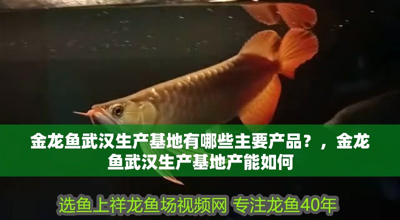 金龍魚武漢生產基地有哪些主要產品？，金龍魚武漢生產基地產能如何