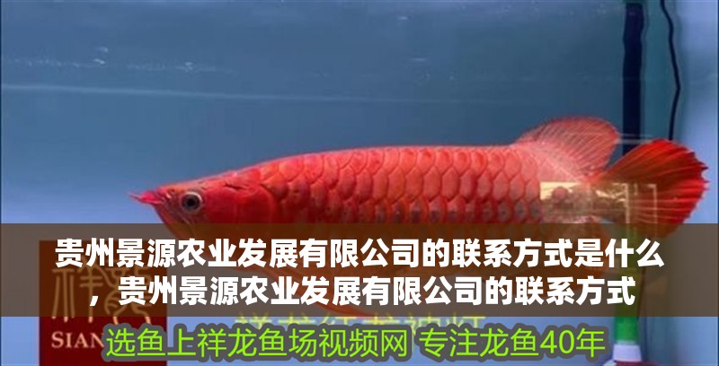 貴州景源農(nóng)業(yè)發(fā)展有限公司的聯(lián)系方式是什么，貴州景源農(nóng)業(yè)發(fā)展有限公司的聯(lián)系方式