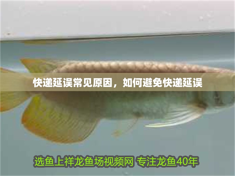 快遞延誤常見原因，如何避免快遞延誤