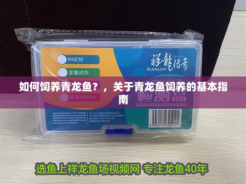 如何飼養青龍魚？，關于青龍魚飼養的基本指南