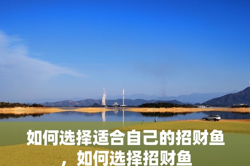 如何選擇適合自己的招財魚，如何選擇招財魚