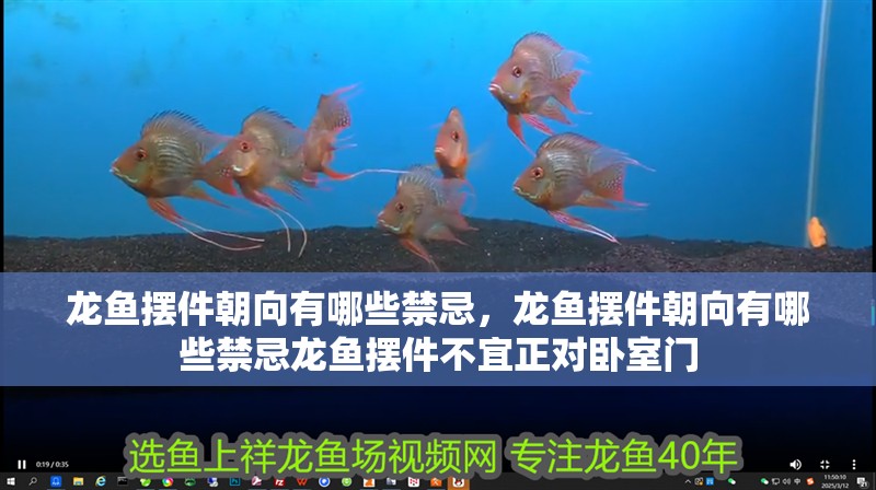 龍魚擺件朝向有哪些禁忌,龍魚擺件朝向有哪些禁忌龍魚擺件不宜正對臥室門