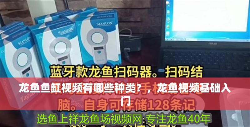 龍魚魚缸視頻有哪些種類？，龍魚視頻基礎(chǔ)入門
