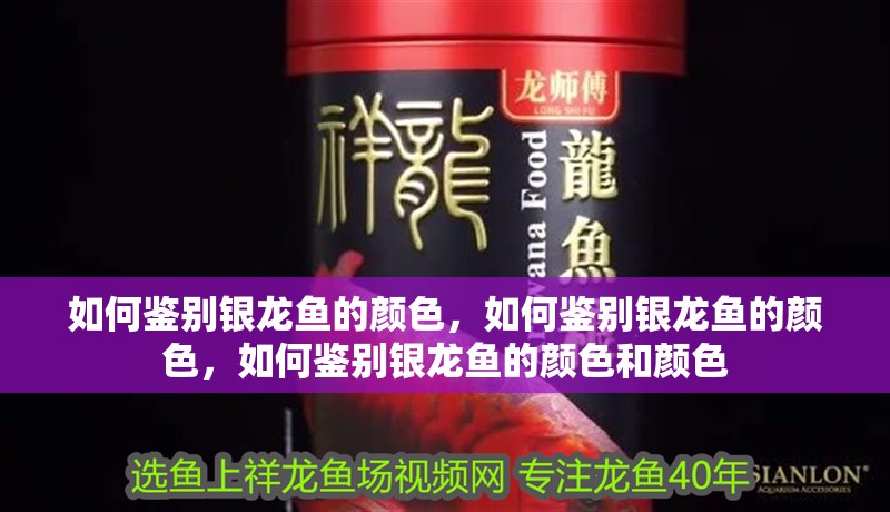 如何鑒別銀龍魚的顏色，如何鑒別銀龍魚的顏色，如何鑒別銀龍魚的顏色和顏色