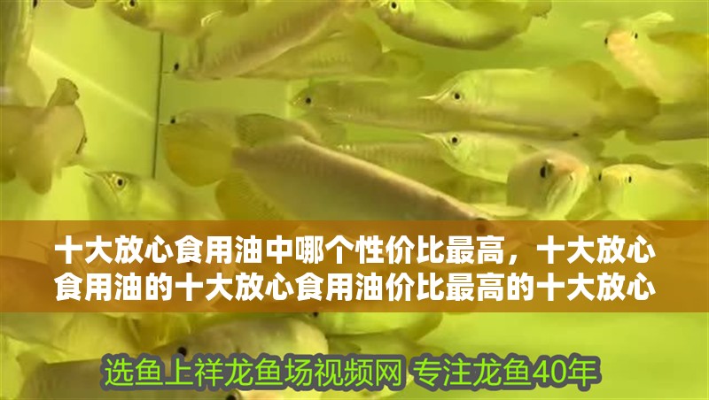 十大放心食用油中哪個性價比最高，十大放心食用油的十大放心食用油價比最高的十大放心食用油