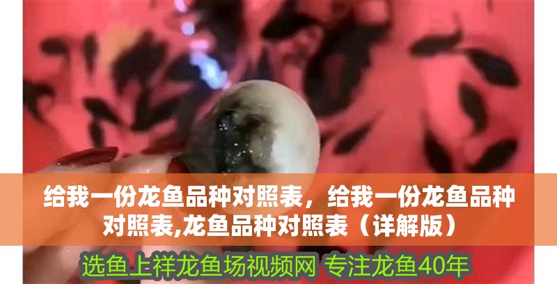 給我一份龍魚品種對照表,給我一份龍魚品種對照表,龍魚品種對照表(詳解版)