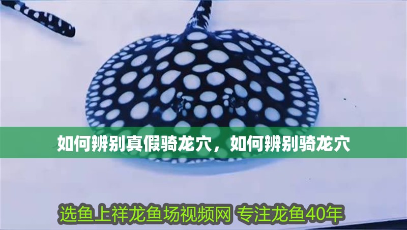 如何辨別真假騎龍穴，如何辨別騎龍穴