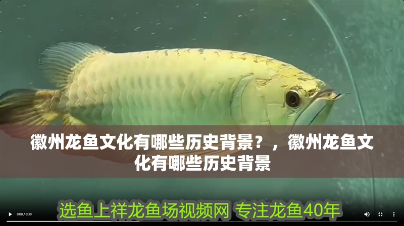 徽州龍魚文化有哪些歷史背景？，徽州龍魚文化有哪些歷史背景