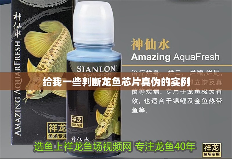給我一些判斷龍魚芯片真偽的實例
