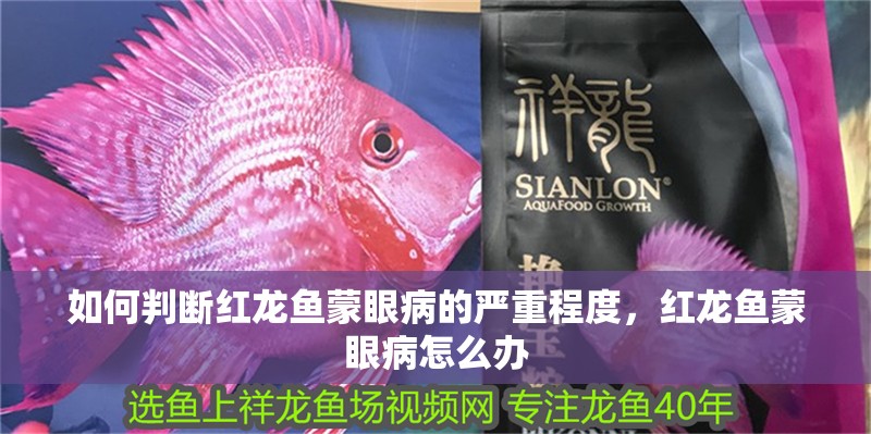 如何判斷紅龍魚蒙眼病的嚴(yán)重程度，紅龍魚蒙眼病怎么辦