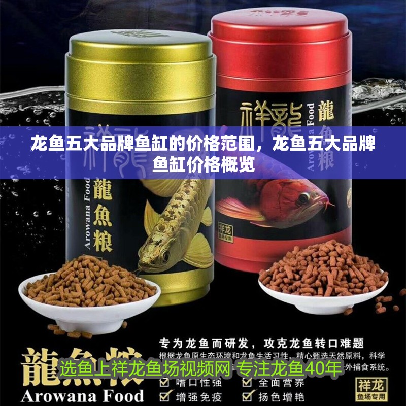 龍魚五大品牌魚缸的價格范圍，龍魚五大品牌魚缸價格概覽
