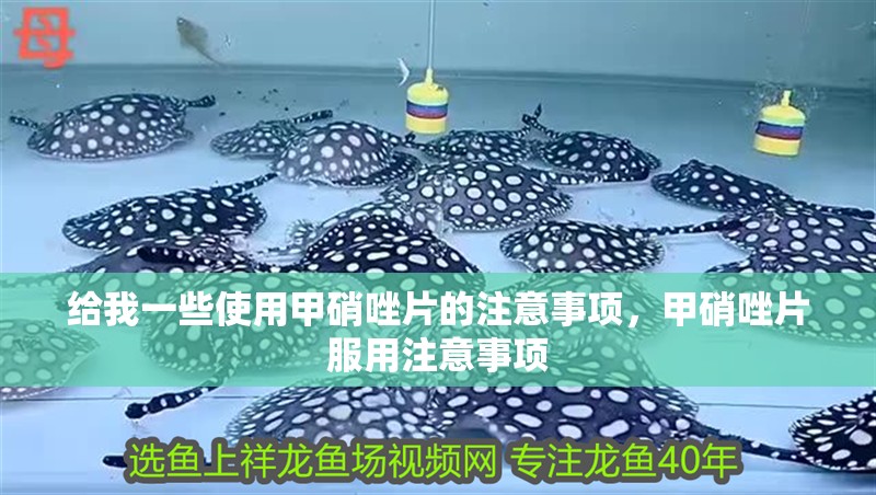 給我一些使用甲硝唑片的注意事項，甲硝唑片服用注意事項