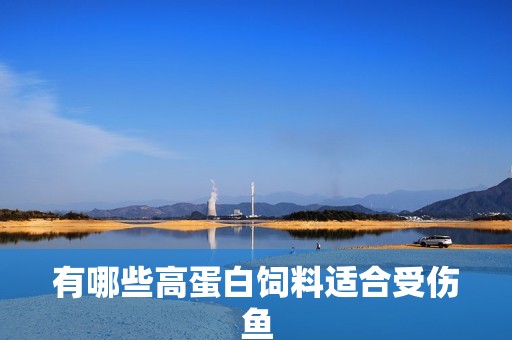 有哪些高蛋白飼料適合受傷魚