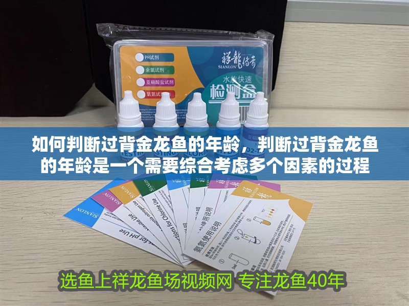 如何判斷過背金龍魚的年齡，判斷過背金龍魚的年齡是一個需要綜合考慮多個因素的過程