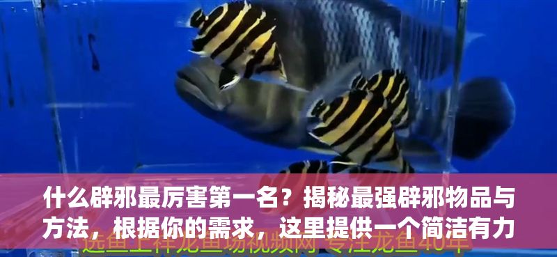 什么辟邪最厲害第一名？揭秘最強辟邪物品與方法，根據你的需求，這里提供一個簡潔有力的標題，，辟邪最強物品Top1揭曉！民間公認最靈驗方法大公開，聚焦第一名的懸念感，同時涵蓋物品與方法的核心信息，符合揭秘類內容的傳播特點。）