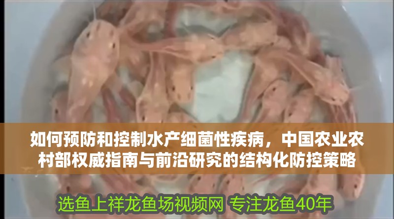如何預防和控制水產細菌性疾病,中國農業農村部權威指南與前沿研究的結構化防控策略