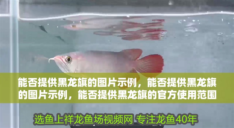 能否提供黑龍旗的圖片示例，能否提供黑龍旗的圖片示例，能否提供黑龍旗的官方使用范圍有哪些