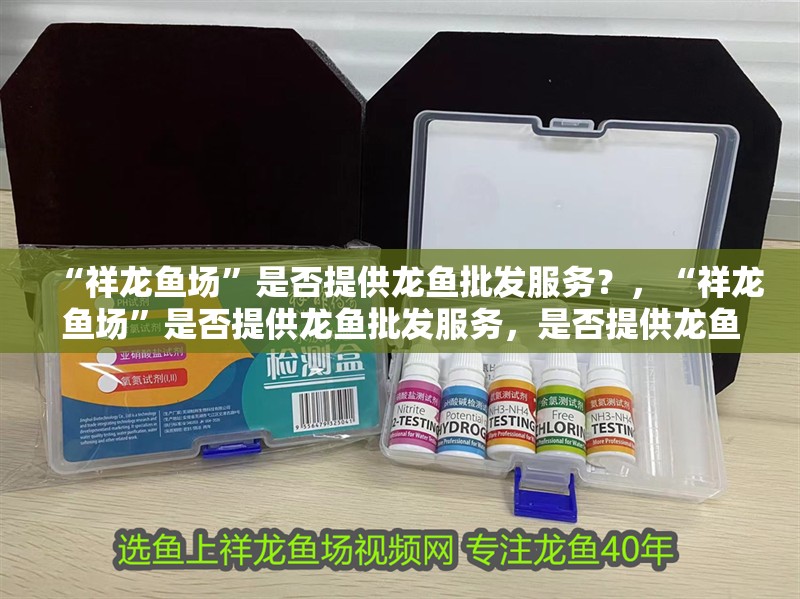 “祥龍魚場”是否提供龍魚批發服務？，“祥龍魚場”是否提供龍魚批發服務，是否提供龍魚批發服務