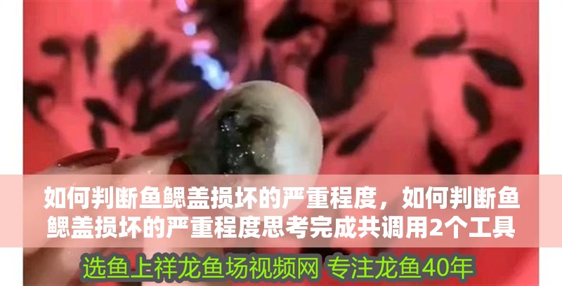 如何判斷魚鰓蓋損壞的嚴重程度，如何判斷魚鰓蓋損壞的嚴重程度思考完成共調用2個工具